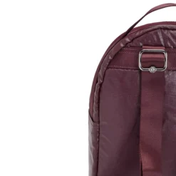 Kipling Kae Metallic Backpack 12 Kipling Kae Metallic Backpack -Osprey Shop 7cc935 ae79d0681f454600bd667e5d953a8f8cmv2 3