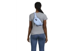 JanSport Fifth Avenue Fanny Pack 17 JanSport Fifth Avenue Fanny Pack -Osprey Shop 7cc935 b3b28382932b45669315e487dd0cd7e7mv2